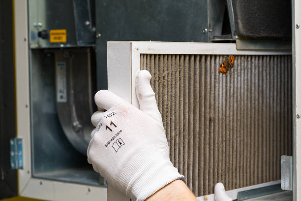 Best HVAC Duct Inspection Services  in Conestee, SC