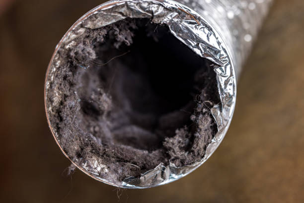 Best Emergency Air Duct Cleaning  in Conestee, SC